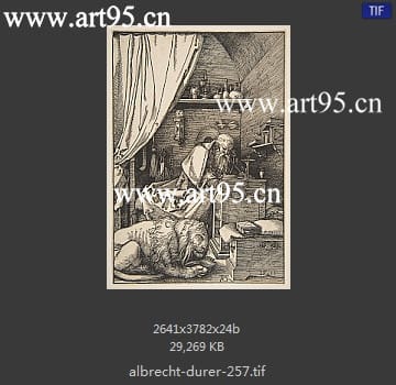 albrecht durer