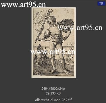 albrecht durer