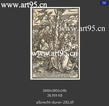 albrecht durer