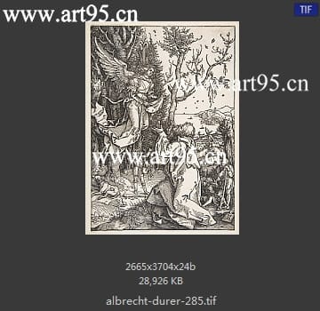 albrecht durer