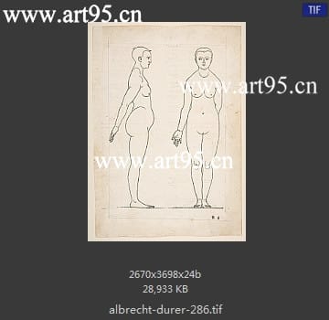 albrecht durer