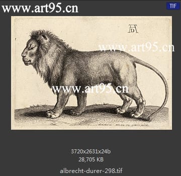 albrecht durer
