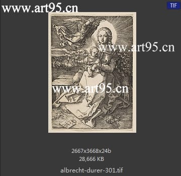 albrecht durer