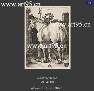 albrecht durer