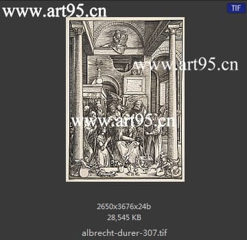 albrecht durer