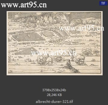albrecht durer