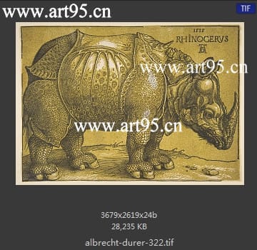 albrecht durer