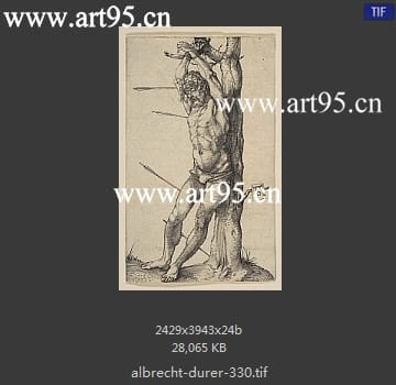 albrecht durer
