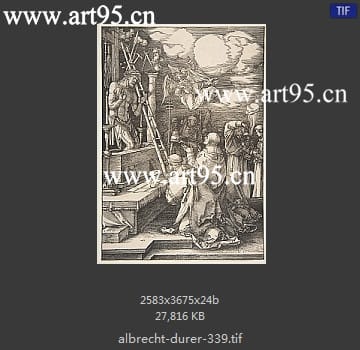 albrecht durer