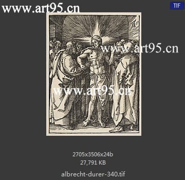 albrecht durer