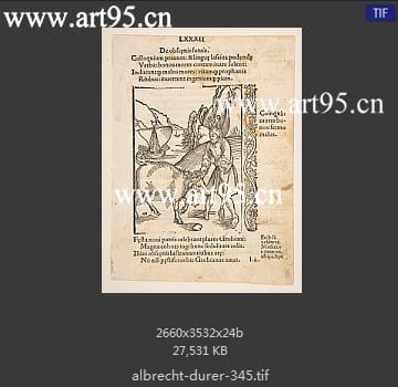 albrecht durer