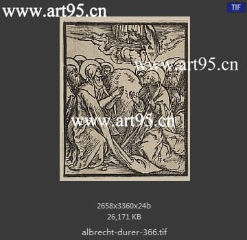 albrecht durer
