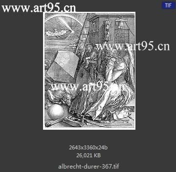 albrecht durer