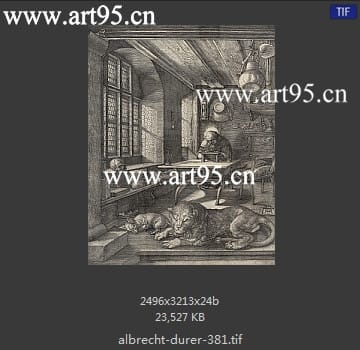 albrecht durer