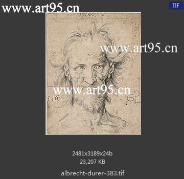 albrecht durer
