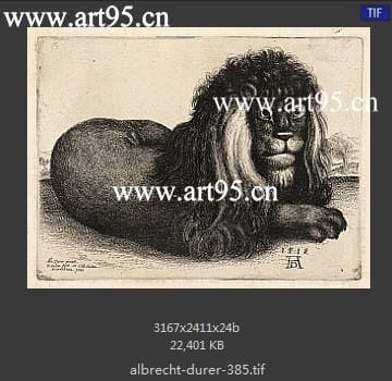 albrecht durer