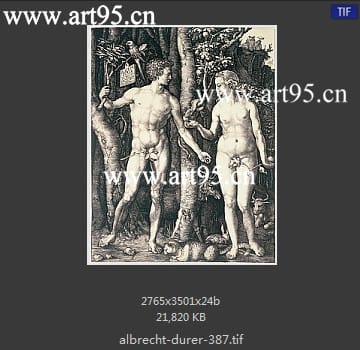 albrecht durer