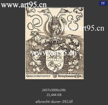 albrecht durer