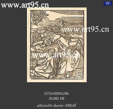 albrecht durer
