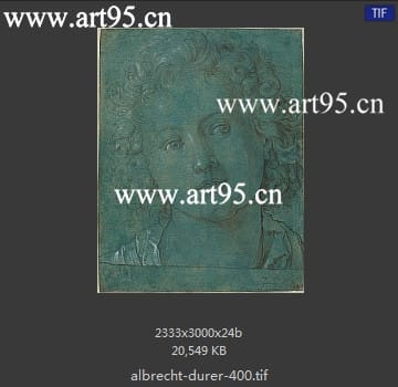 albrecht durer