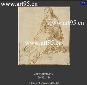 albrecht durer