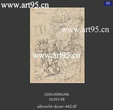 albrecht durer