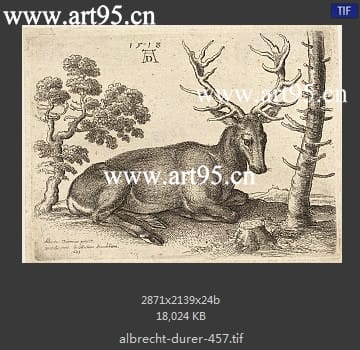 albrecht durer