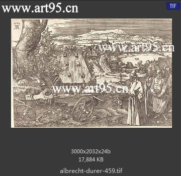 albrecht durer