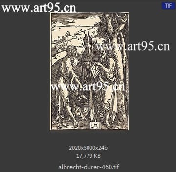 albrecht durer