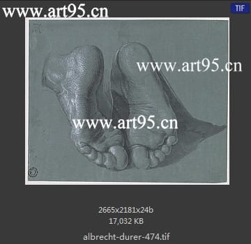 albrecht durer