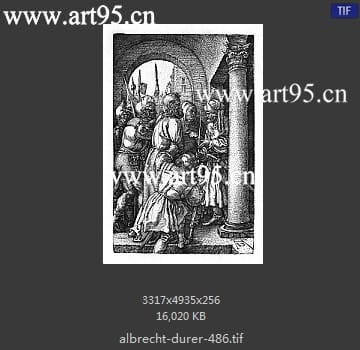 albrecht durer