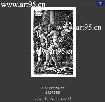 albrecht durer