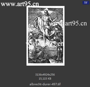 albrecht durer