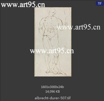 albrecht durer