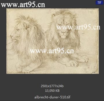 albrecht durer