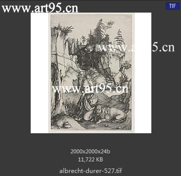 albrecht durer