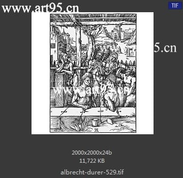 albrecht durer