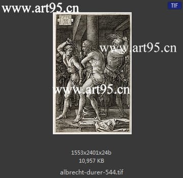 albrecht durer