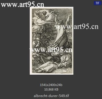 albrecht durer