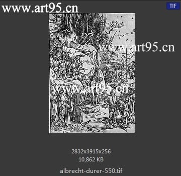 albrecht durer
