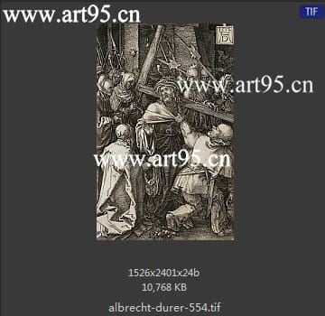 albrecht durer