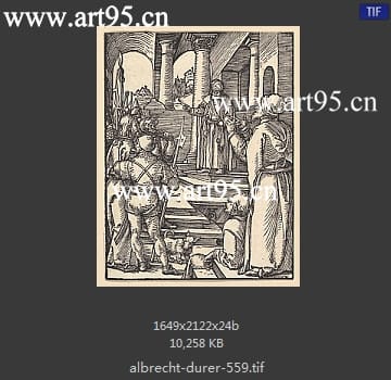 albrecht durer