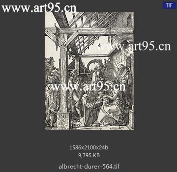 albrecht durer