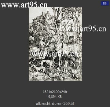 albrecht durer