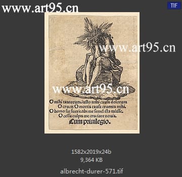 albrecht durer