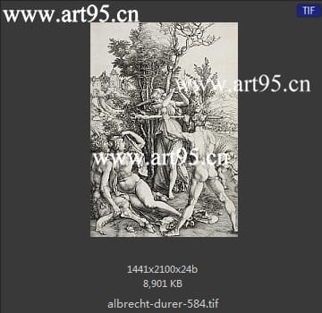 albrecht durer