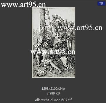 albrecht durer