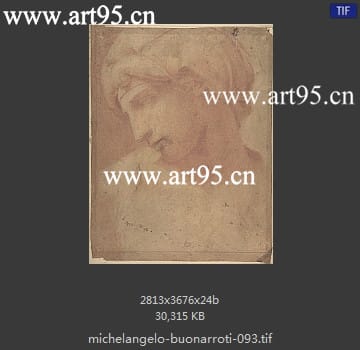 米开朗基罗作品 高清图片参数