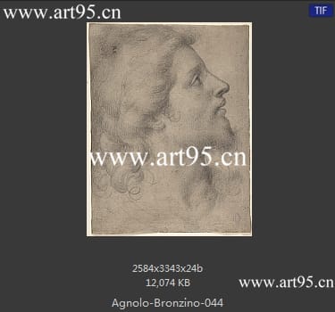Agnolo Bronzino