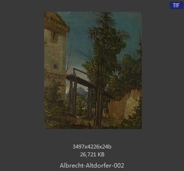 Albrecht Altdorfer